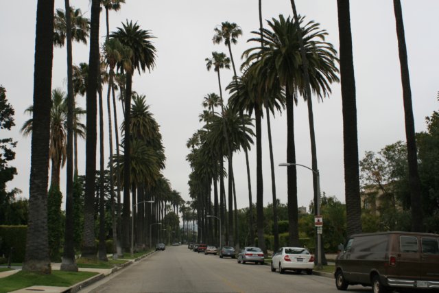 inneibeverlyhills.jpg