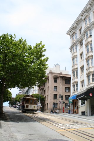 tram.jpg