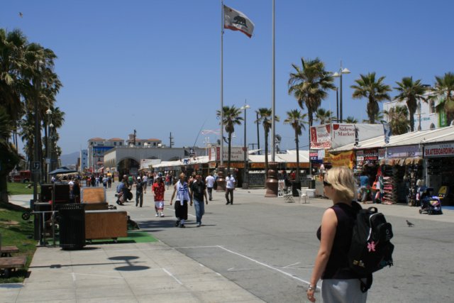fiapvenicebeach.jpg