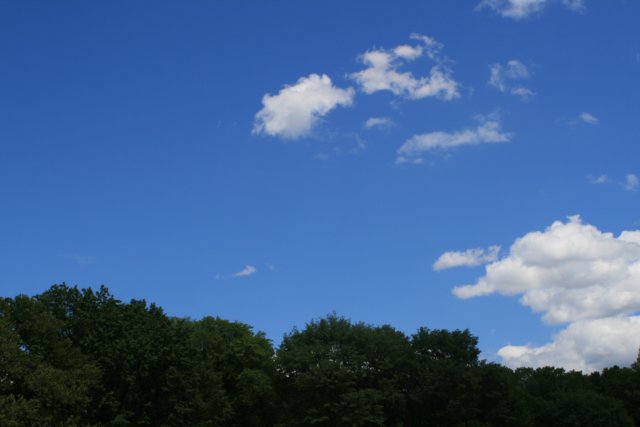 centralpark3.jpg