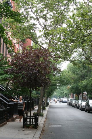 greenwichvillage2.jpg